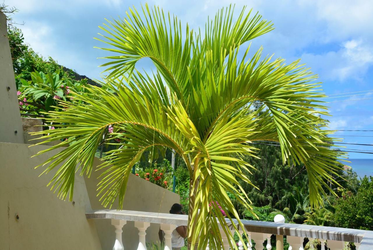 Villa Anse La Blague Baie Sainte Anne Kültér fotó