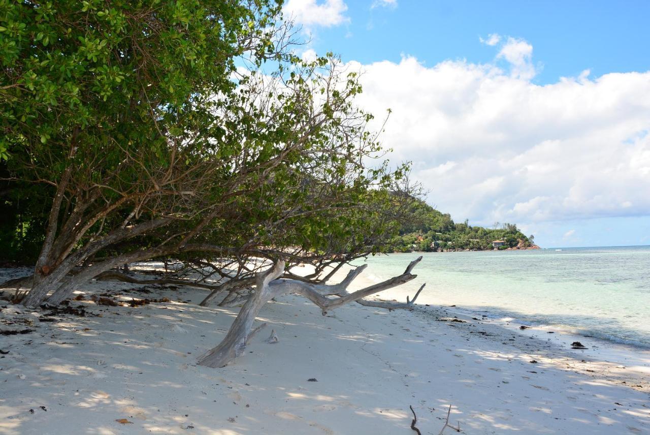 Villa Anse La Blague Baie Sainte Anne Kültér fotó